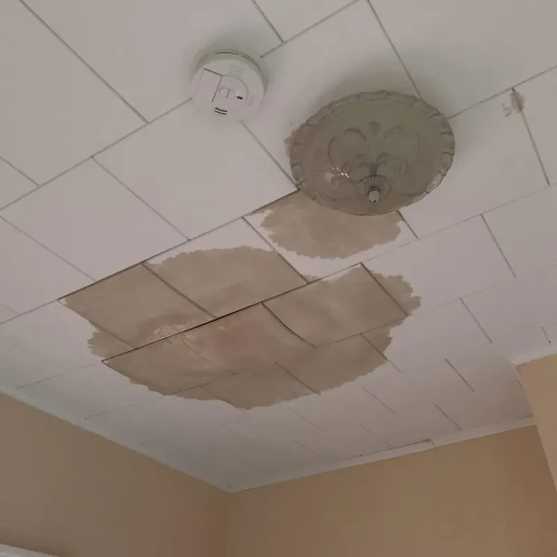 Ceiling Water Damage Repair in Paw Paw Lake, MI