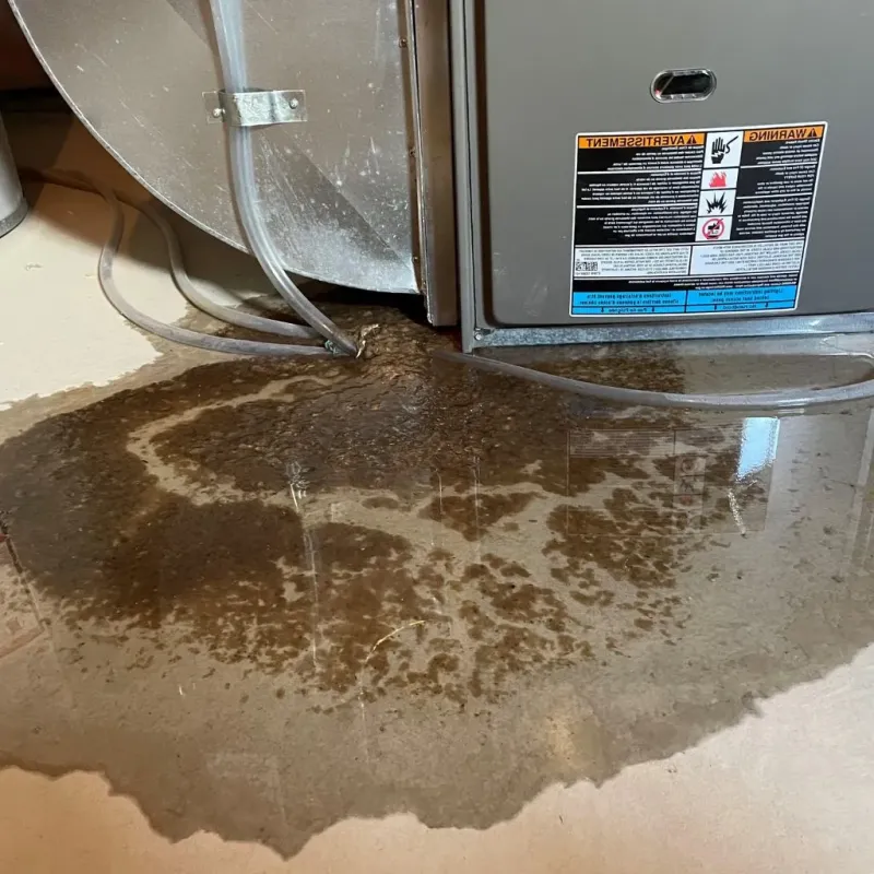 Pipe Burst and Leak Restoration in Paw Paw Lake, MI