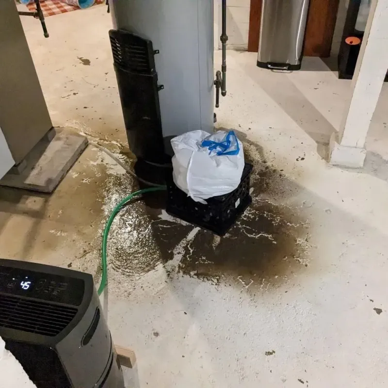 Sewage Backup Cleanup Service in Paw Paw Lake, MI